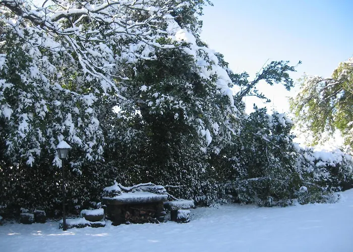 Rodeo Da Casa Kır Evi *